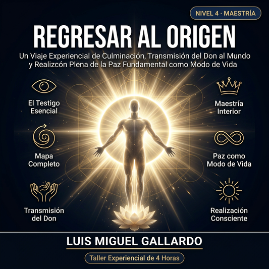 Taller Nivel 4: Regresar al Origen. / Workshop Level 4 – Initiation Return to Origin.
